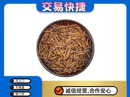 海北州祁连礼品回收虫草.jpg